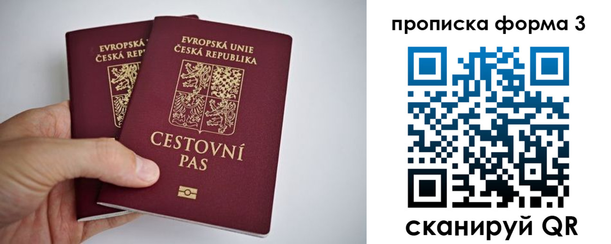 регистрация для школы в Новочеркасске